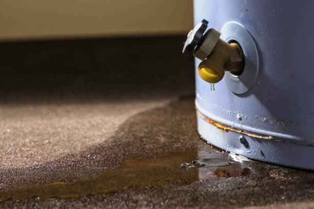 Best Professional water damage repair  in Baltimore Highlands, MD