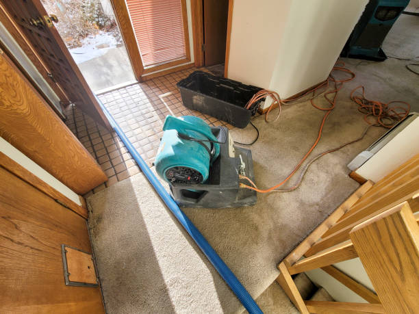 Best Flood restoration services  in Baltimore Highlands, MD
